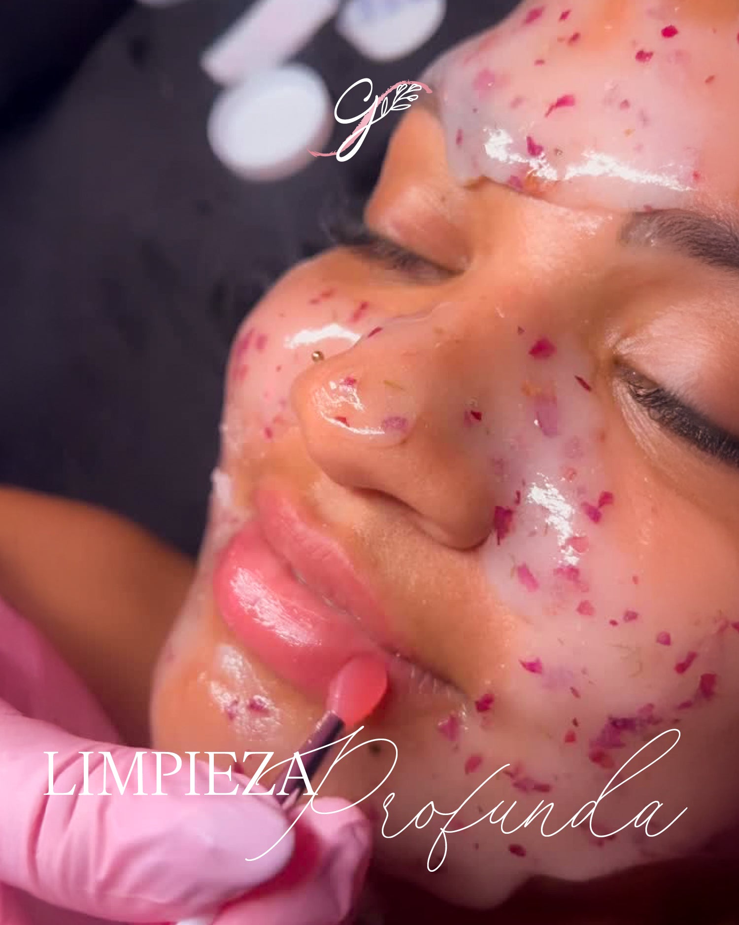 Limpieza Profunda