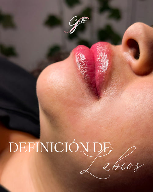 Definición de Labios